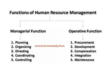 Human resource management functions