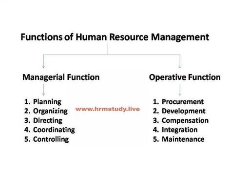 functions of human resource management