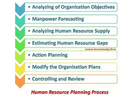 human resource planning process