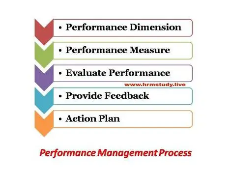 Performance management process